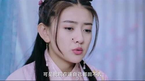 王妃每天想和离